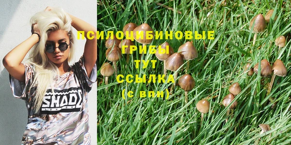 бутик Дмитров