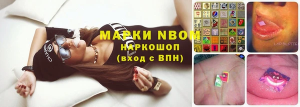 гидропоника Дмитриев