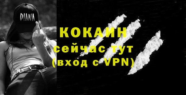 гидропоника Дмитриев