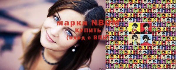 гидропоника Дмитриев