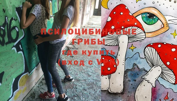 мяу мяу мука Дмитровск