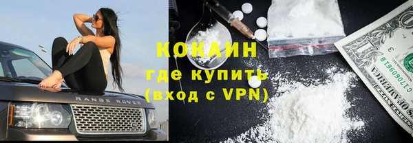 гидропоника Дмитриев