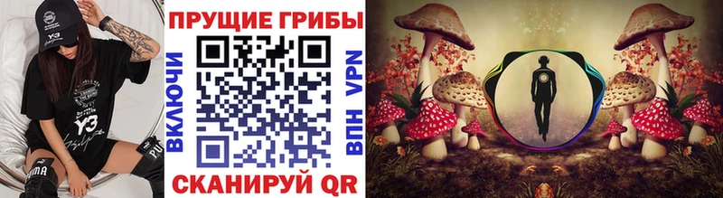 Купить где Фокино Галлюциногенные грибы Psilocybine cubensis